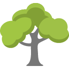 Daytona Beach Tree Removal