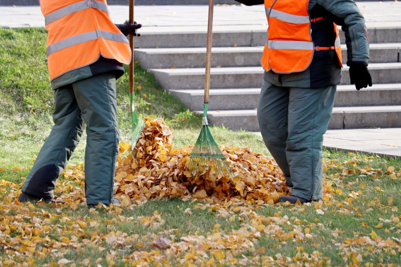Efficient Leaf Clearing