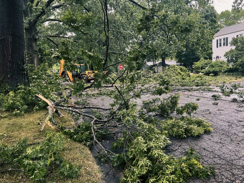 Storm Damage Landscape